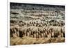 China 10MKm2 Collection - Terracotta Army-Philippe Hugonnard-Framed Photographic Print