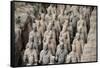 China 10MKm2 Collection - Terracotta Army-Philippe Hugonnard-Framed Stretched Canvas