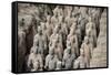 China 10MKm2 Collection - Terracotta Army-Philippe Hugonnard-Framed Stretched Canvas