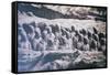 China 10MKm2 Collection - Terracotta Army-Philippe Hugonnard-Framed Stretched Canvas