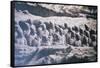 China 10MKm2 Collection - Terracotta Army-Philippe Hugonnard-Framed Stretched Canvas