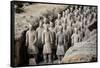 China 10MKm2 Collection - Terracotta Army-Philippe Hugonnard-Framed Stretched Canvas