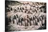 China 10MKm2 Collection - Terracotta Army-Philippe Hugonnard-Stretched Canvas