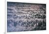 China 10MKm2 Collection - Terracotta Army-Philippe Hugonnard-Framed Photographic Print