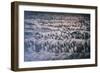 China 10MKm2 Collection - Terracotta Army-Philippe Hugonnard-Framed Photographic Print