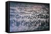 China 10MKm2 Collection - Terracotta Army-Philippe Hugonnard-Framed Stretched Canvas