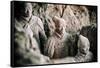 China 10MKm2 Collection - Terracotta Army-Philippe Hugonnard-Framed Stretched Canvas