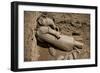 China 10MKm2 Collection - Terracotta Army-Philippe Hugonnard-Framed Photographic Print