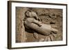 China 10MKm2 Collection - Terracotta Army-Philippe Hugonnard-Framed Photographic Print