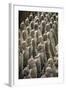 China 10MKm2 Collection - Terracotta Army-Philippe Hugonnard-Framed Photographic Print