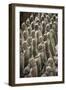 China 10MKm2 Collection - Terracotta Army-Philippe Hugonnard-Framed Photographic Print