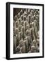 China 10MKm2 Collection - Terracotta Army-Philippe Hugonnard-Framed Photographic Print