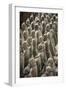 China 10MKm2 Collection - Terracotta Army-Philippe Hugonnard-Framed Photographic Print