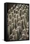 China 10MKm2 Collection - Terracotta Army-Philippe Hugonnard-Framed Stretched Canvas