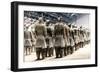 China 10MKm2 Collection - Terracotta Army-Philippe Hugonnard-Framed Premium Photographic Print