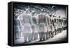 China 10MKm2 Collection - Terracotta Army-Philippe Hugonnard-Framed Stretched Canvas