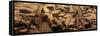 China 10MKm2 Collection - Terracotta Army-Philippe Hugonnard-Framed Stretched Canvas