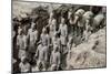 China 10MKm2 Collection - Terracotta Warriors and Horses-Philippe Hugonnard-Mounted Premium Photographic Print