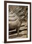 China 10MKm2 Collection - Terracotta Warriors and Horses-Philippe Hugonnard-Framed Photographic Print