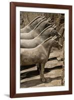 China 10MKm2 Collection - Terracotta Warriors and Horses-Philippe Hugonnard-Framed Photographic Print