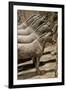 China 10MKm2 Collection - Terracotta Warriors and Horses-Philippe Hugonnard-Framed Photographic Print