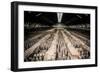 China 10MKm2 Collection - Terracotta Warriors and Horses-Philippe Hugonnard-Framed Photographic Print