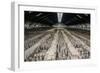 China 10MKm2 Collection - Terracotta Warriors and Horses-Philippe Hugonnard-Framed Photographic Print