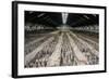 China 10MKm2 Collection - Terracotta Warriors and Horses-Philippe Hugonnard-Framed Photographic Print