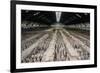 China 10MKm2 Collection - Terracotta Warriors and Horses-Philippe Hugonnard-Framed Photographic Print