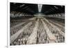 China 10MKm2 Collection - Terracotta Warriors and Horses-Philippe Hugonnard-Framed Photographic Print