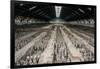 China 10MKm2 Collection - Terracotta Warriors and Horses-Philippe Hugonnard-Framed Photographic Print