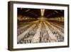 China 10MKm2 Collection - Terracotta Warriors and Horses-Philippe Hugonnard-Framed Photographic Print