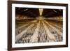 China 10MKm2 Collection - Terracotta Warriors and Horses-Philippe Hugonnard-Framed Photographic Print