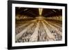 China 10MKm2 Collection - Terracotta Warriors and Horses-Philippe Hugonnard-Framed Photographic Print