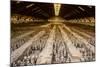 China 10MKm2 Collection - Terracotta Warriors and Horses-Philippe Hugonnard-Mounted Photographic Print