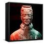 China 10MKm2 Collection - Terracotta Warriors-Philippe Hugonnard-Framed Stretched Canvas