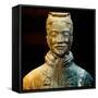 China 10MKm2 Collection - Terracotta Warriors-Philippe Hugonnard-Framed Stretched Canvas