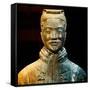 China 10MKm2 Collection - Terracotta Warriors-Philippe Hugonnard-Framed Stretched Canvas