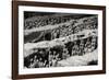 China 10MKm2 Collection - Terracotta Warriors-Philippe Hugonnard-Framed Photographic Print