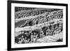 China 10MKm2 Collection - Terracotta Warriors-Philippe Hugonnard-Framed Photographic Print