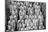 China 10MKm2 Collection - Terracotta Warriors-Philippe Hugonnard-Mounted Premium Photographic Print