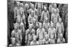 China 10MKm2 Collection - Terracotta Warriors-Philippe Hugonnard-Mounted Photographic Print