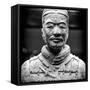 China 10MKm2 Collection - Terracotta Warriors-Philippe Hugonnard-Framed Stretched Canvas