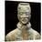 China 10MKm2 Collection - Terracotta Warriors-Philippe Hugonnard-Stretched Canvas