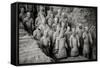 China 10MKm2 Collection - Terracotta Warriors-Philippe Hugonnard-Framed Stretched Canvas