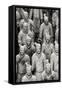 China 10MKm2 Collection - Terracotta Warriors-Philippe Hugonnard-Framed Stretched Canvas