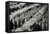 China 10MKm2 Collection - Terracotta Warriors-Philippe Hugonnard-Framed Stretched Canvas