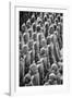 China 10MKm2 Collection - Terracotta Warriors-Philippe Hugonnard-Framed Photographic Print