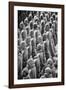 China 10MKm2 Collection - Terracotta Warriors-Philippe Hugonnard-Framed Photographic Print