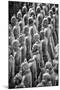 China 10MKm2 Collection - Terracotta Warriors-Philippe Hugonnard-Mounted Photographic Print